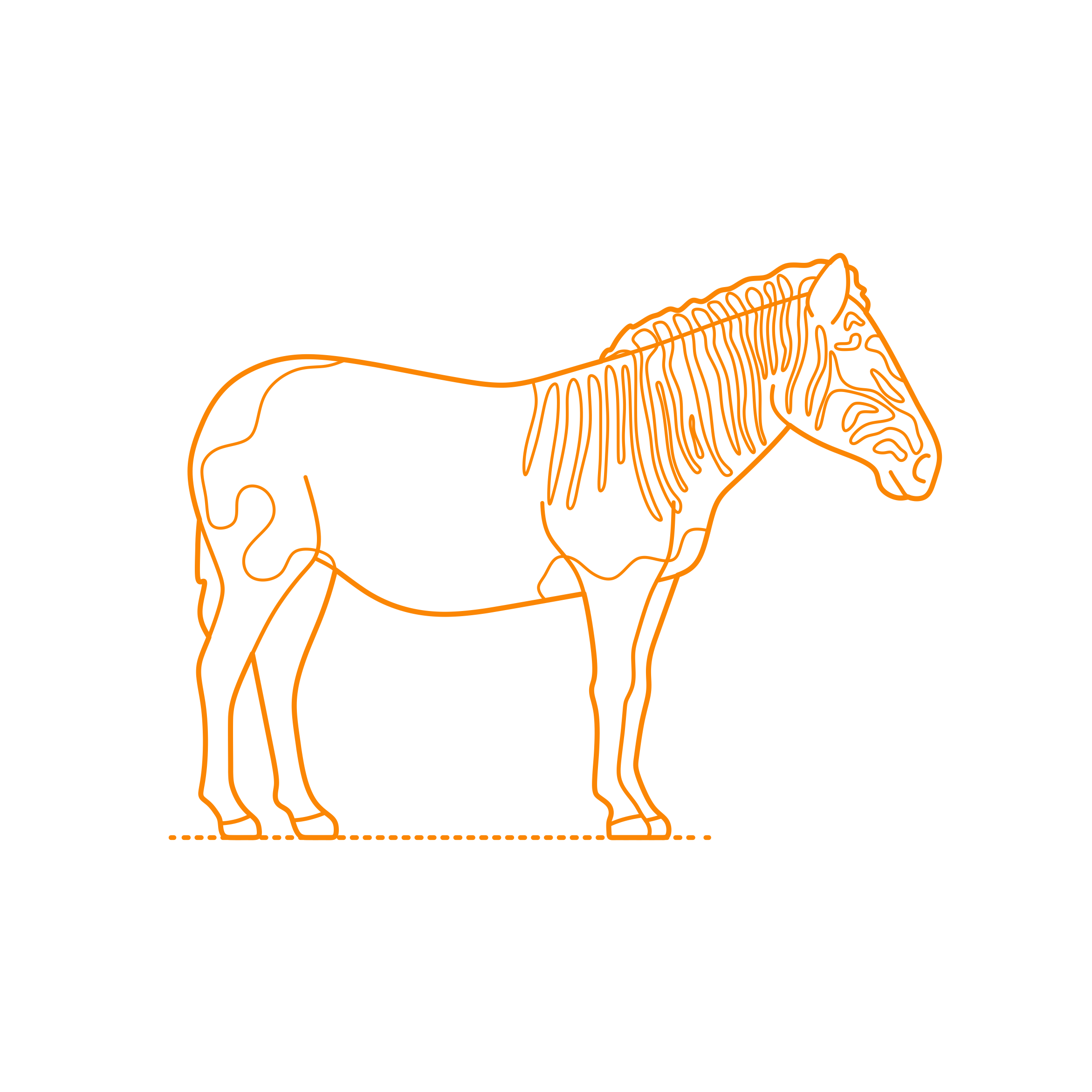 Animals Equines Quagga Silhouette Cutting Svg Files Free Vectors